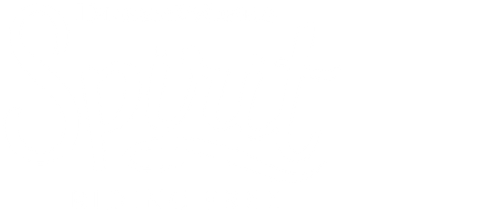 Спирит: Скачки на свободе