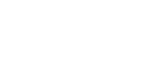 Банды Вассейпура