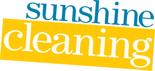 Чистка до блеска