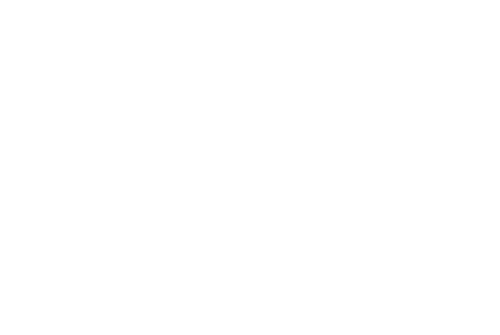 Мозг Гиммлера зовется Гейдрихом