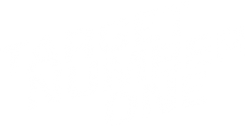 Главная цель