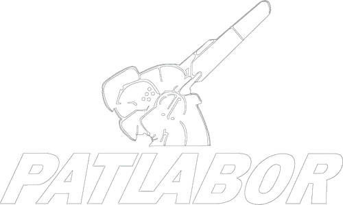 Полиция будущего