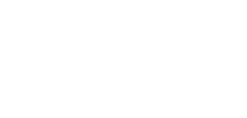 Строго на юг