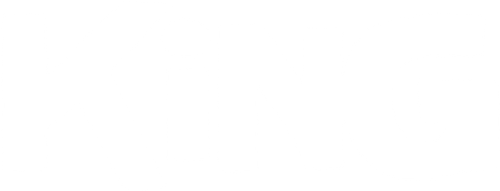 Король-львёнок