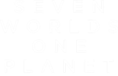 Семь миров, одна планета