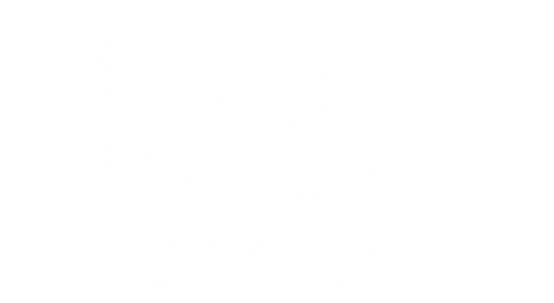 Манускрипт ниндзя: Новая глава