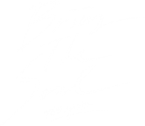 브링 더 소울: 더 무비