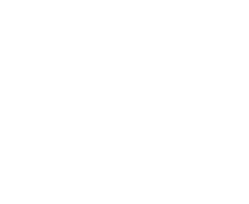 Мир в моей голове