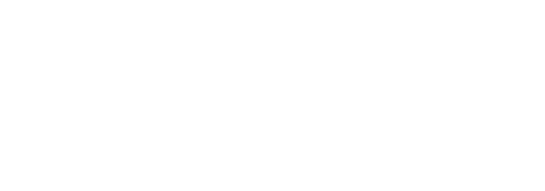 История дельфина 2