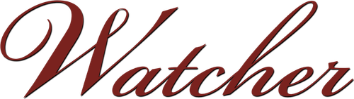 Наблюдающий