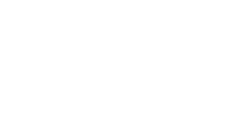 Приключения эвоков