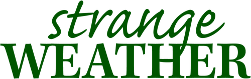 Непривычная погода