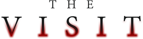 Визит