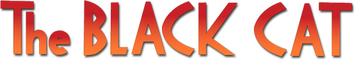Чёрный кот