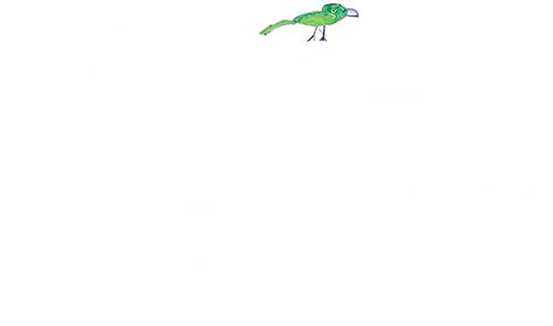 Звездочки на земле