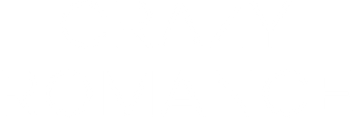 Самый обычный роман