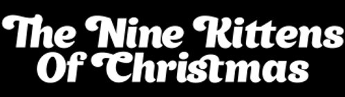 Девять котят в подарок