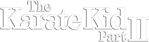 Парень-каратист 2