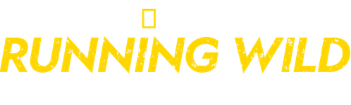 Звездное выживание с Беаром Гриллсом