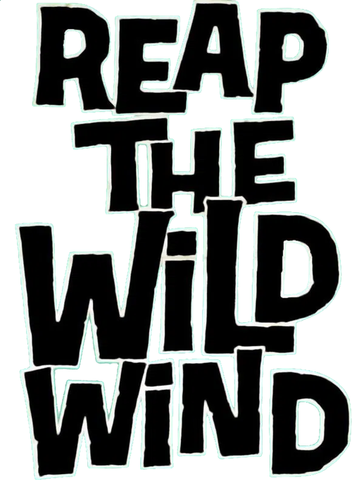 Пожнешь бурю