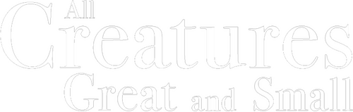 Все создания, большие и малые