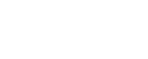 Загнанных лошадей пристреливают, не правда ли?