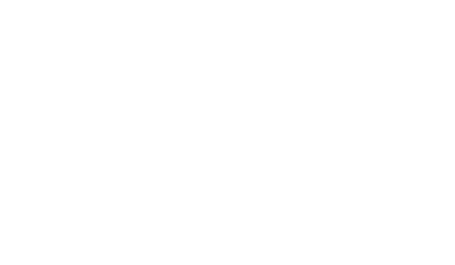 Тёмная история