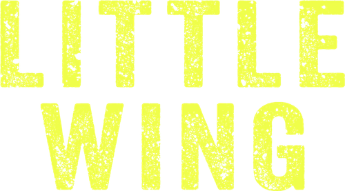 Маленькое крылышко