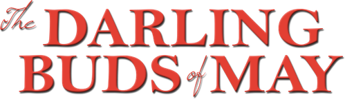 Нежные майские цветы