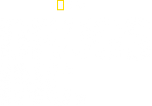 Индустрия наркотиков