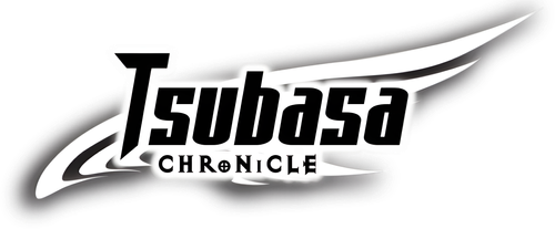 Хроника крыльев