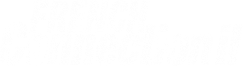 Французский связной 2