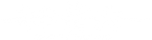 Охота на призраков