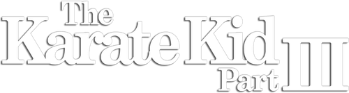 Парень-каратист 3