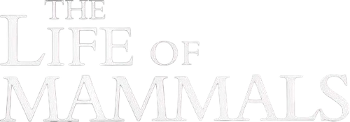 Жизнь млекопитающих