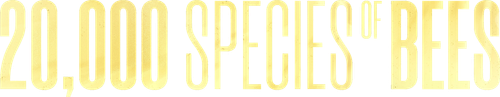 20 тысяч пород пчёл