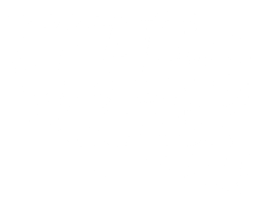 Nick Cannon Presents: Wild 'N Out