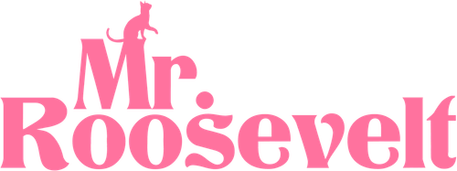Мистер Рузвельт