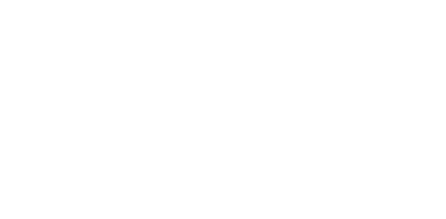 Искусство восьми конечностей