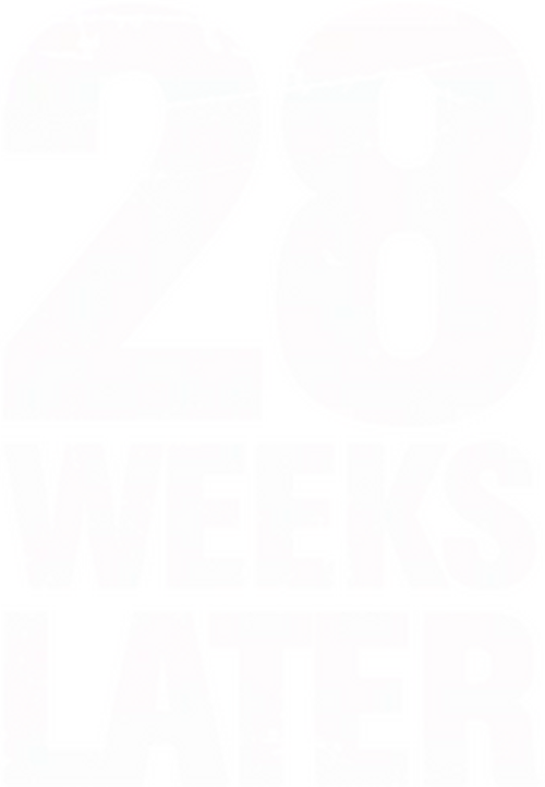 28 недель спустя