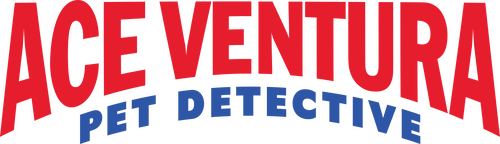 Эйс Вентура: Розыск домашних животных