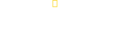 Savage Kingdom