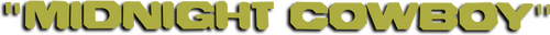 Полуночный ковбой