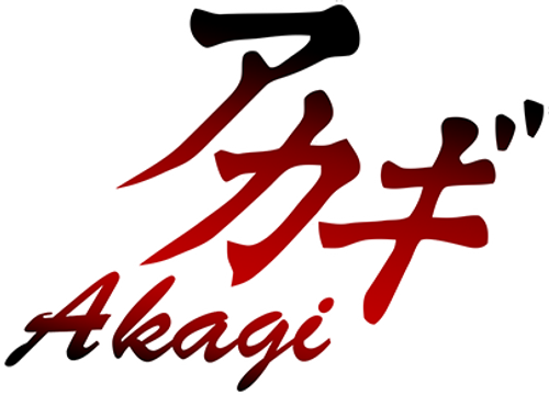 Акаги, легенда маджонга