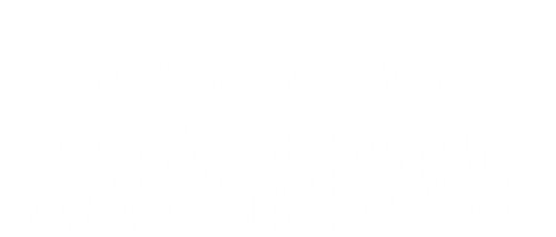 Миссия «Кашмир»