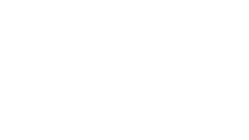 Путь одинокого волка