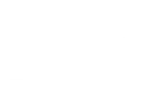 Штурм Белого дома