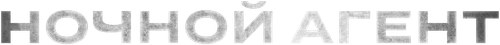 Ночной агент