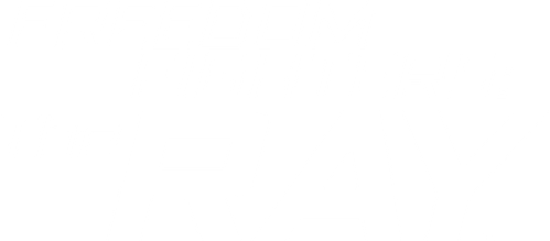 Freedom Fighters: The Ray