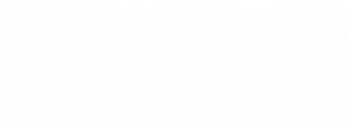 Холли Хобби